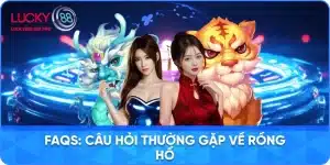 Câu Hỏi Chung Về Rồng Hổ