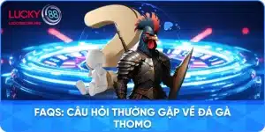 Câu Hỏi Chung Về Đá Gà Thomo
